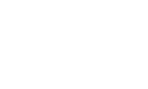 BusinessPunk_white Business Punk